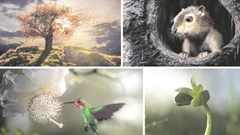 Screen grabs from the ad.