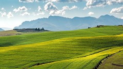 Farming innovations changing the South African agricultural landscape