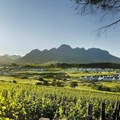 Kleine Zalze: Introducing the best new world producer of the year