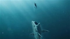 #OnTheBigScreen: Women in turmoil, prehistoric shark and Prince Charming