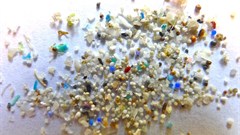 Microplastics. Image by Oregon State University, CC BY-SA 2.0,