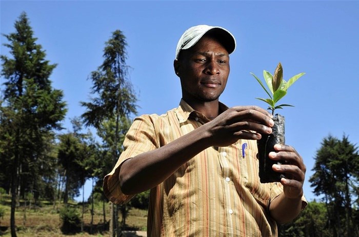 Neil Palmer (CIAT) via