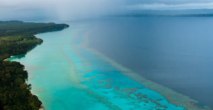 Marine parks protect fragile ecosystems, like coral reefs. Justin Rizzari