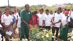 The potential of agri, food systems to create job opportunities for Africa's youth