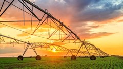 African agriculture has a lot to gain from increased access to big data