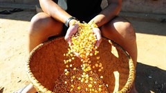 Inflation outcomes relatively steady for food