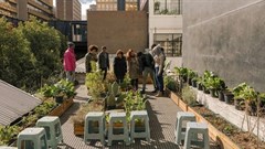 Airbnb's Africa Travel Summit to boost community-led tourism