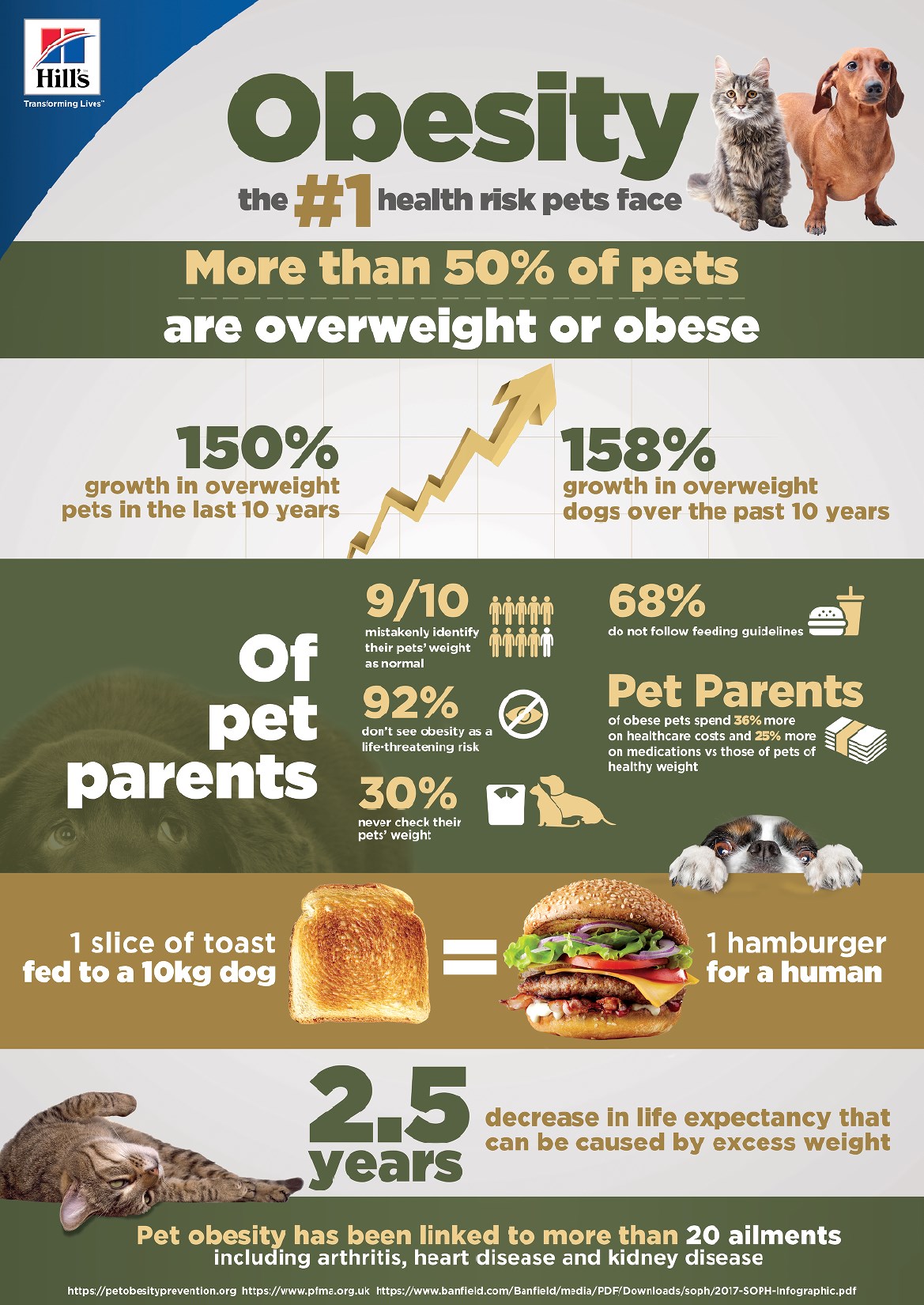 Innovation in food and wearables tackles pet obesity epidemic