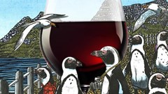 Durbanville Hills reveals whimsical new wine range