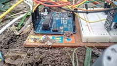 Agritech startup named winner of Seedstars Uganda