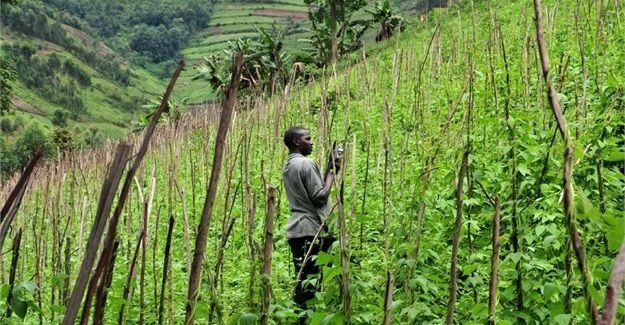 Neil Palmer (CIAT) via