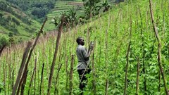 Nigeria's Alosfarm beta tests big data platform