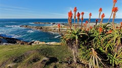 Insight into local travel and why South Africans love it