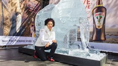 #DontLetThemDisappear: A world without elephants