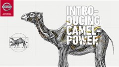 Nissan Camelpower campaign. Image supplied.