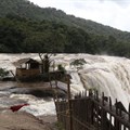 Heavy rainfall recently devastated large swathes of Kerala, India. Prakash Elamakkara/EPA