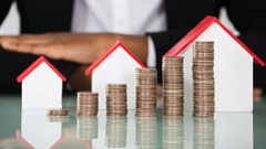 Land reform panic unnecessary, Seeff welcomes clarity and support