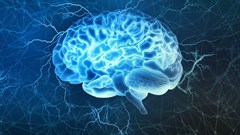 Yurchanka Siarhei/Shutterstock