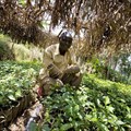 What role can Africa play in contributing to global food security?