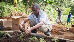 AFASA and DAFF must work together to help black farmers