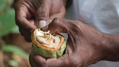 Nigeria exports N85.9bn agric produce in three months