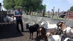 Empowering small, subsistence farmers in SA