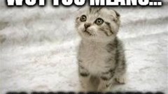 Power to the publisher or death to memes? The Copyright Directive debate...