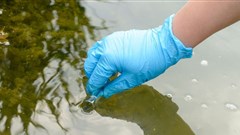 Red Cross steps in to curb cholera and typhoid in Zim