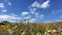 Here's to entering the West Coast way of living