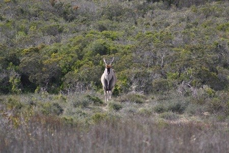 Here's to entering the West Coast way of living