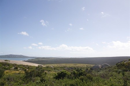 Here's to entering the West Coast way of living