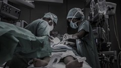 Piron Giullaume/Unsplash