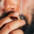 ConCourt rules to decriminalise the personal use of marijuana