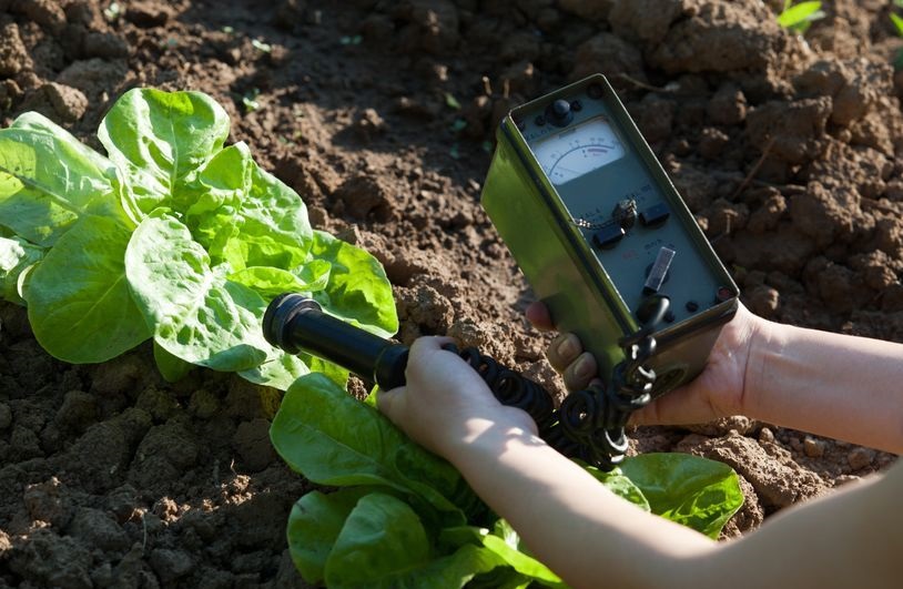 Food and agricultural technology can enable the emerging tourism sector across Africa