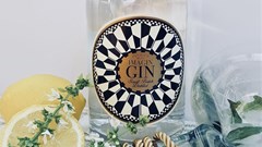 Meet the Maker: Imagin Gin