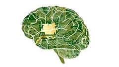 Digital transformation is the key to healthcare in Africa