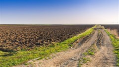 Making African agriculture more attractive for investors