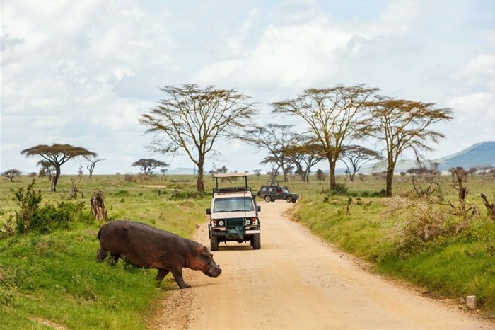 Tanzania tour operators demand new tourism policy