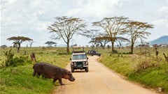 Tanzania tour operators demand new tourism policy