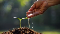 Creating a new, inclusive wealth system based on Africa's continental context