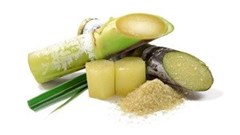 Sugar Industry Regulations gazetted