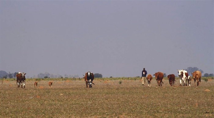 Farmer2Market programme unlocks market opportunities for small farmers