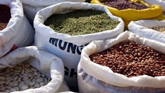 Addressing Nigeria's insignificant contribution to global seed trade