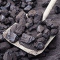 Court drama as state tries to force through coal mining plan