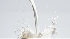 Organic milk accounts for 30% revenue share in emerging markets