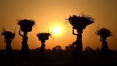 Trading while caring for people and planet