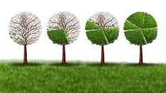 SEED SA Go Sustainable! Programme presents its successful green enterprises