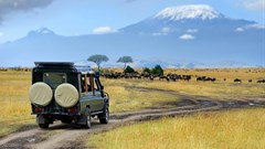 mage by Volodymyr Burdiak