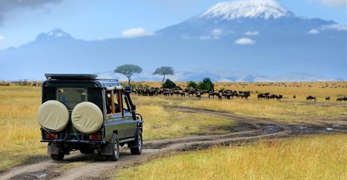 mage by Volodymyr Burdiak