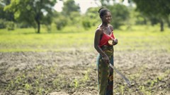 FAO director-general stresses importance of job creation in rural areas